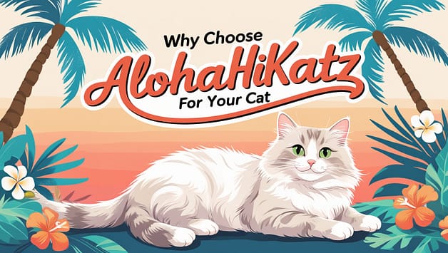 Why Choose AlohaHiKatz for Your Cat